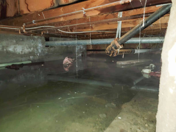 Best Flooded house restoration  in Watertown, WI