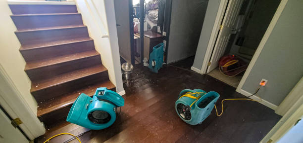 Best Flood damage cleanup  in Watertown, WI