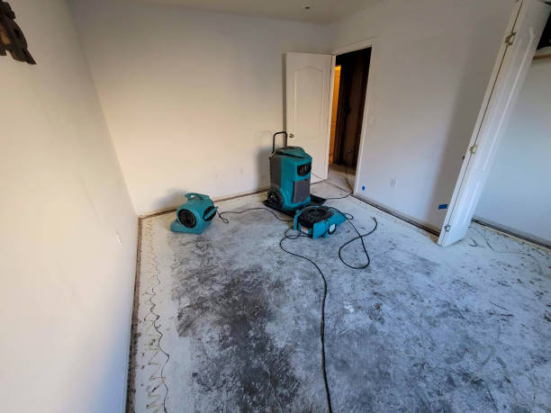 Best Commercial water damage restoration  in Watertown, WI