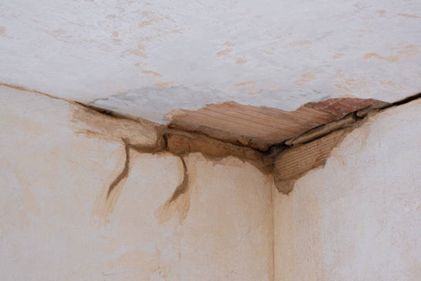 Water damage restoration mold remediation in Watertown, WI