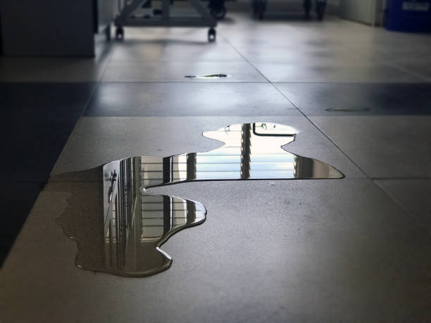 Best Water damage restoration near me  in Watertown, WI