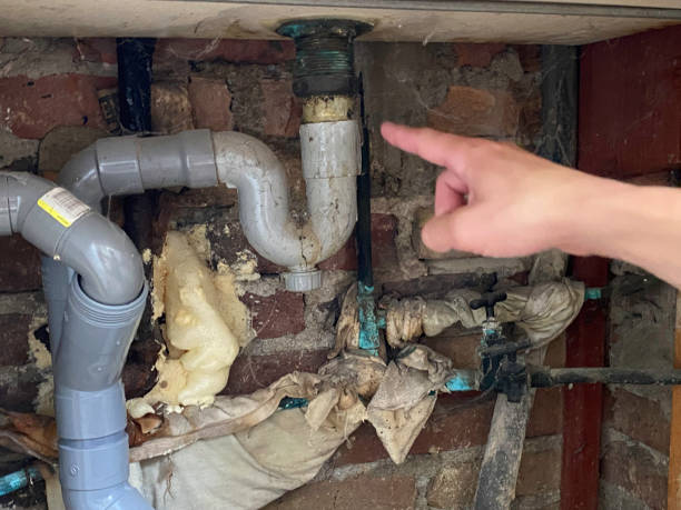Best Water damage restoration experts  in Watertown, WI